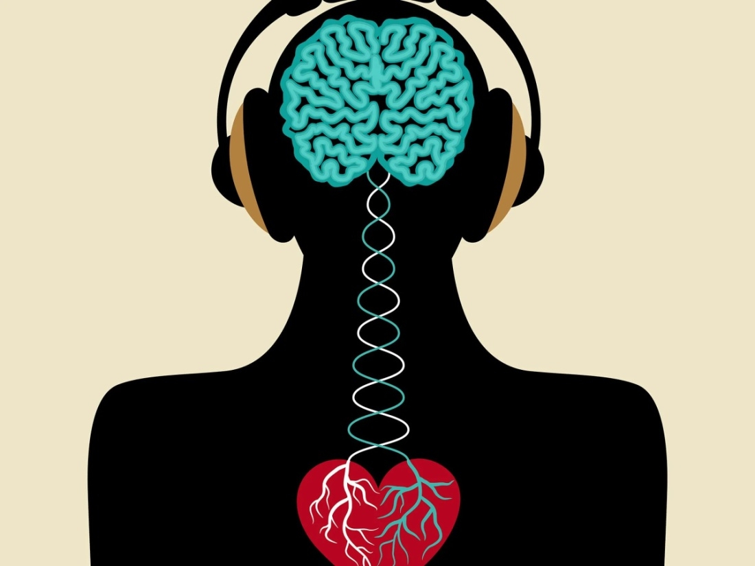 Восприятие своего тела зависит от связи мозга с внутренними органами